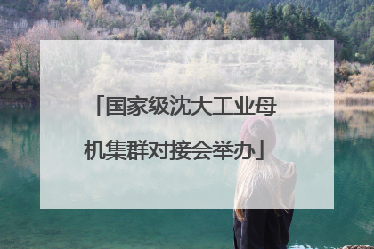 国家级沈大工业母机集群对接会举办