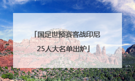 国足世预赛客战印尼25人大名单出炉