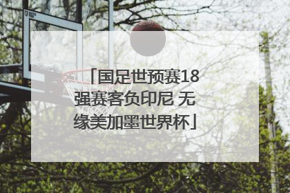 国足世预赛18强赛客负印尼 无缘美加墨世界杯
