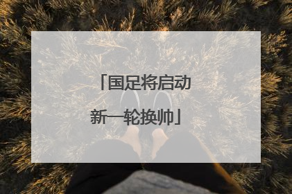 国足将启动新一轮换帅