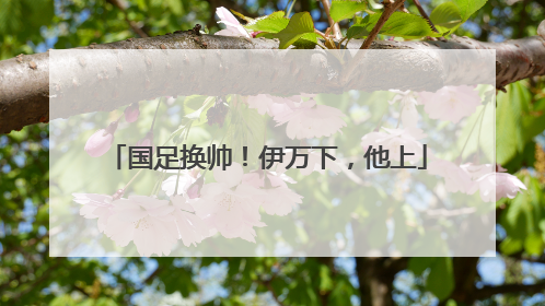 国足换帅！伊万下，他上