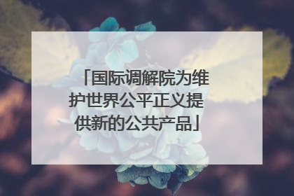 国际调解院为维护世界公平正义提供新的公共产品