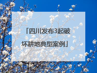 四川发布3起破坏耕地典型案例