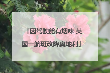 因驾驶舱有烟味 英国一航班改降奥地利