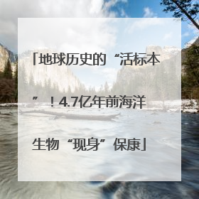 地球历史的“活标本”！4.7亿年前海洋生物“现身”保康