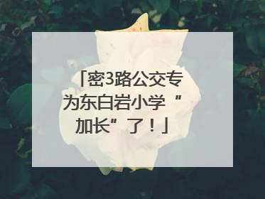 密3路公交专为东白岩小学“加长”了！