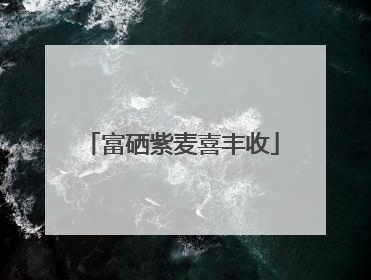 富硒紫麦喜丰收