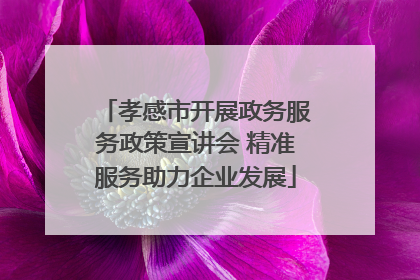 孝感市开展政务服务政策宣讲会 精准服务助力企业发展