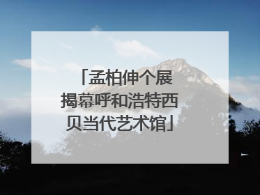 孟柏伸个展 揭幕呼和浩特西贝当代艺术馆