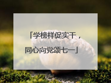 学榜样促实干，同心向党颂七一