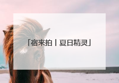 宿来拍丨夏日精灵