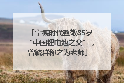 宁德时代致敬85岁“中国锂电池之父”，曾毓群称之为老师