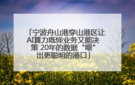 宁波舟山港穿山港区让AI算力既懂业务又能决策 20年的数据“喂”出更聪明的港口