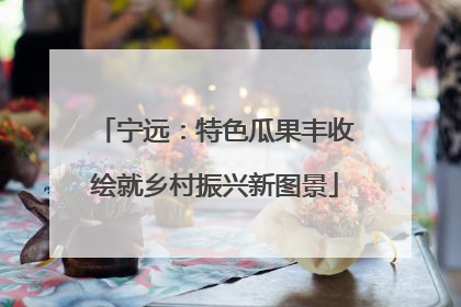 宁远：特色瓜果丰收绘就乡村振兴新图景