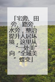 宅旁、田旁、路旁、水旁，整治提升人居环境，这里从“一处美”向“全域美”蝶变