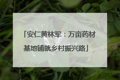 安仁黄林军：万亩药材基地铺就乡村振兴路