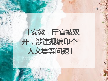 安徽一厅官被双开，涉违规编印个人文集等问题