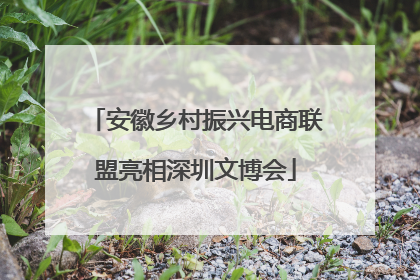 安徽乡村振兴电商联盟亮相深圳文博会