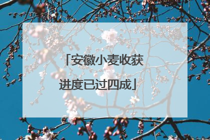 安徽小麦收获进度已过四成