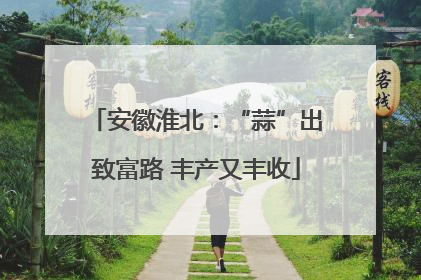 安徽淮北：“蒜”出致富路 丰产又丰收
