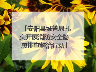 安阳县城管局扎实开展消防安全隐患排查整治行动