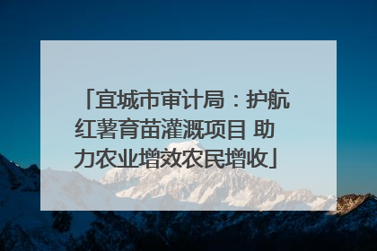 宜城市审计局：护航红薯育苗灌溉项目 助力农业增效农民增收