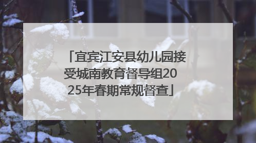 宜宾江安县幼儿园接受城南教育督导组2025年春期常规督查
