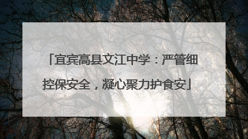 宜宾高县文江中学：严管细控保安全，凝心聚力护食安