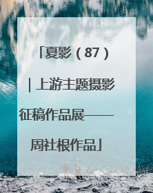 夏影（87）｜上游主题摄影征稿作品展——周社根作品