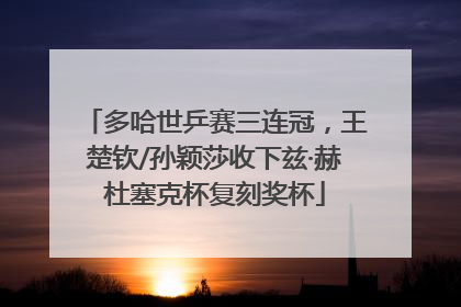 多哈世乒赛三连冠，王楚钦/孙颖莎收下兹·赫杜塞克杯复刻奖杯