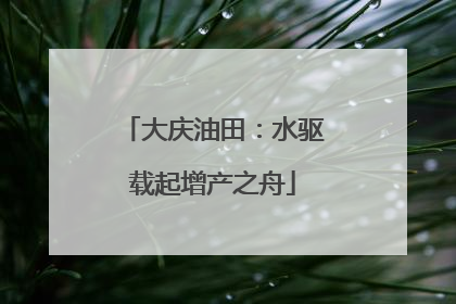 大庆油田：水驱载起增产之舟