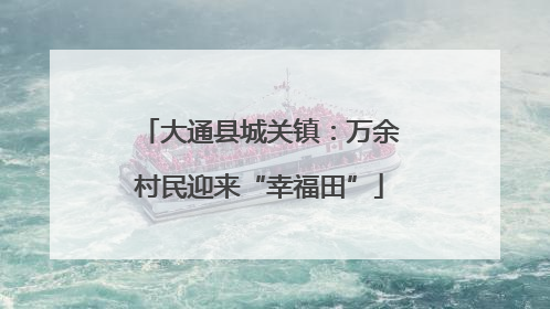 大通县城关镇：万余村民迎来“幸福田”