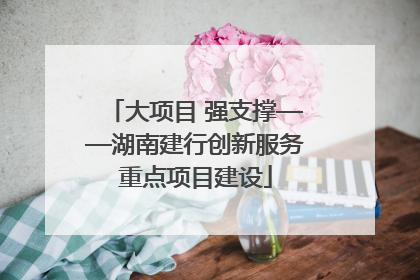 大项目 强支撑——湖南建行创新服务重点项目建设