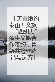 天山邀约泰山！文旅“西引力”催生文旅合作签约，鲁新共绘丝路诗与远方