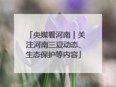 央媒看河南｜关注河南三夏动态、生态保护等内容