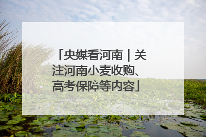 央媒看河南｜关注河南小麦收购、高考保障等内容