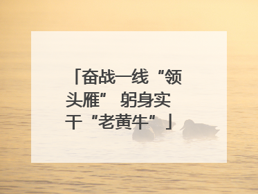 奋战一线“领头雁” 躬身实干“老黄牛”
