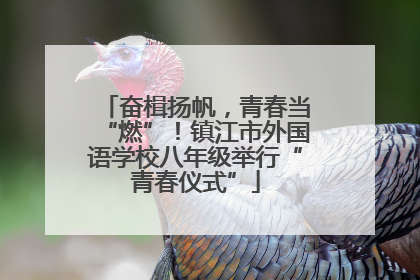 奋楫扬帆，青春当“燃”！镇江市外国语学校八年级举行“青春仪式”