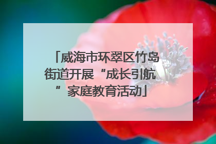 威海市环翠区竹岛街道开展“成长引航”家庭教育活动