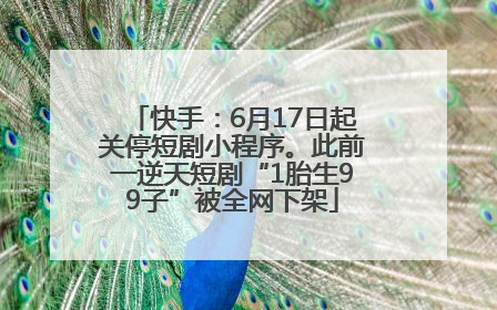 快手：6月17日起关停短剧小程序。此前一逆天短剧“1胎生99子”被全网下架