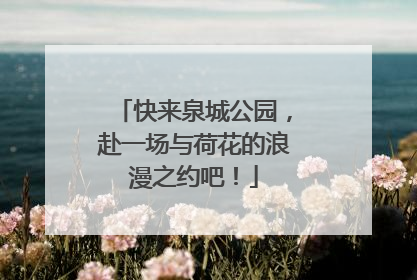 快来泉城公园，赴一场与荷花的浪漫之约吧！