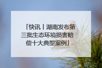 快讯丨湖南发布第三批生态环境损害赔偿十大典型案例