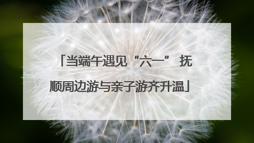 当端午遇见“六一” 抚顺周边游与亲子游齐升温