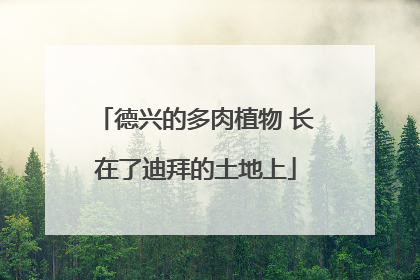 德兴的多肉植物 长在了迪拜的土地上