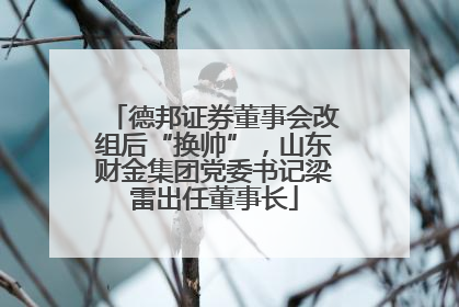 德邦证券董事会改组后“换帅”，山东财金集团党委书记梁雷出任董事长