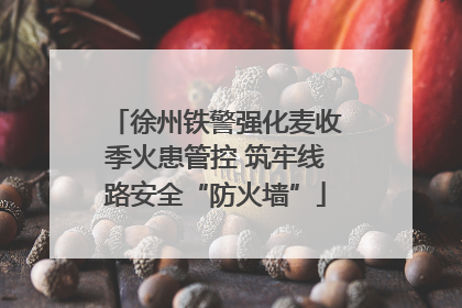 徐州铁警强化麦收季火患管控 筑牢线路安全“防火墙”
