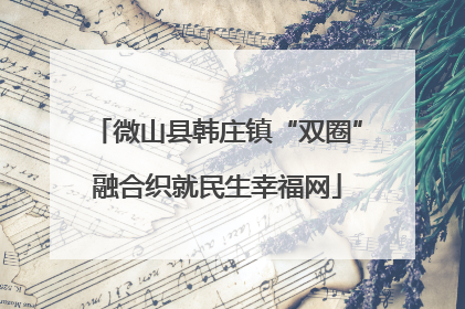 微山县韩庄镇“双圈”融合织就民生幸福网