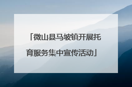 微山县马坡镇开展托育服务集中宣传活动
