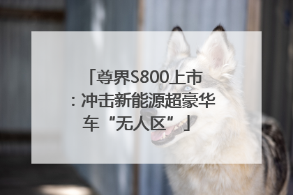 尊界S800上市：冲击新能源超豪华车“无人区”