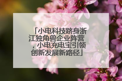 小电科技跻身浙江独角兽企业阵营，小电充电宝引领创新发展新路径